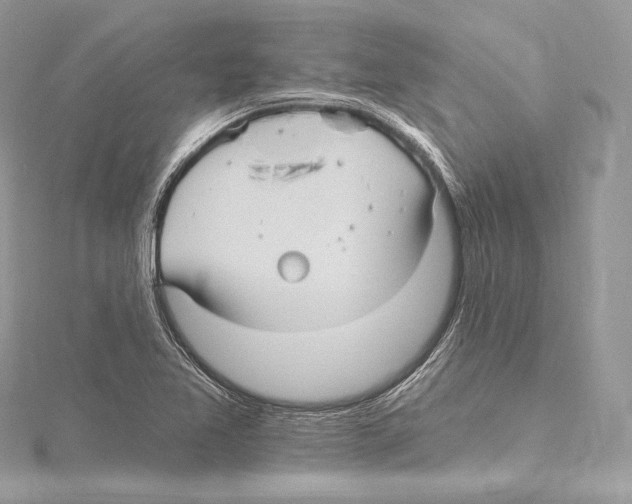 X0000115651365200912081116