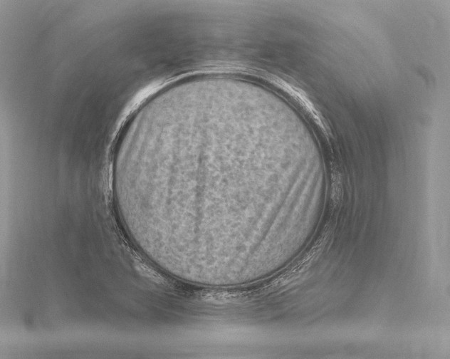 X0000115651366200912081116