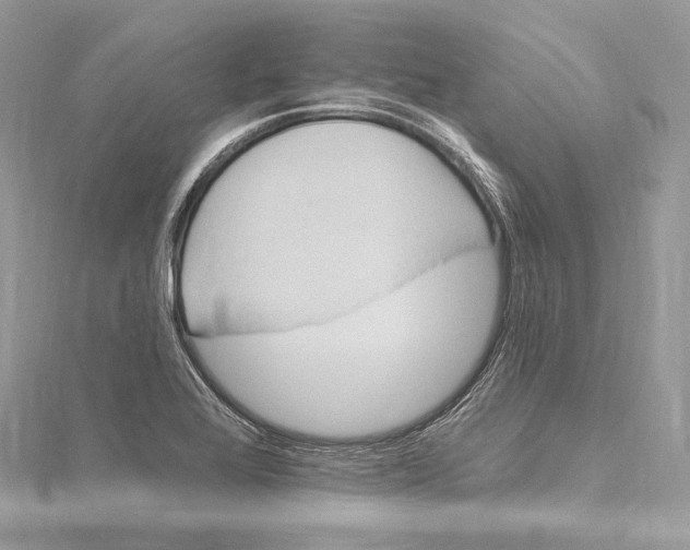 X0000115651368200912081116