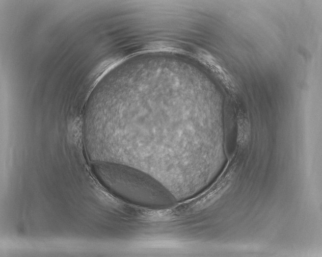 X0000115651369200912081116