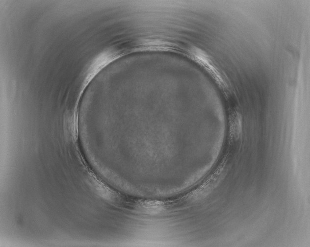 X0000115651370200912081116