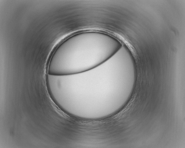 X0000115651372200912081116