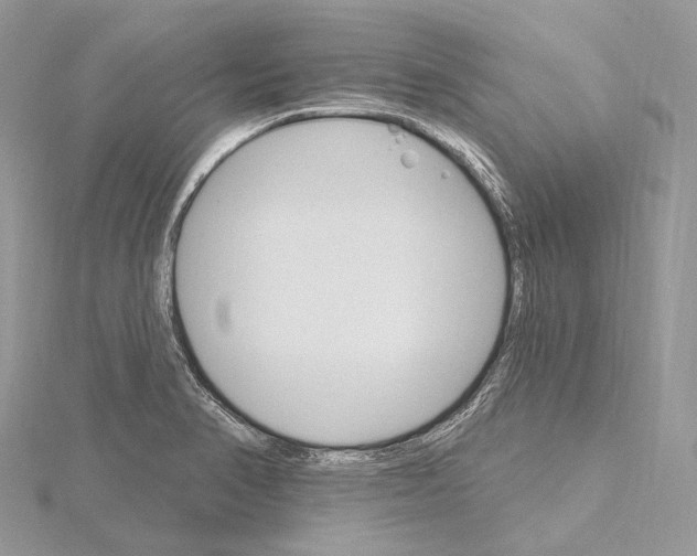 X0000115651374200912081116