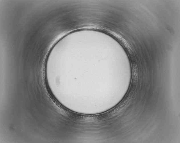 X0000115651375200912081116