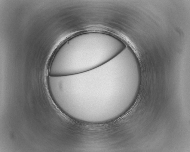 X0000115651376200912081116