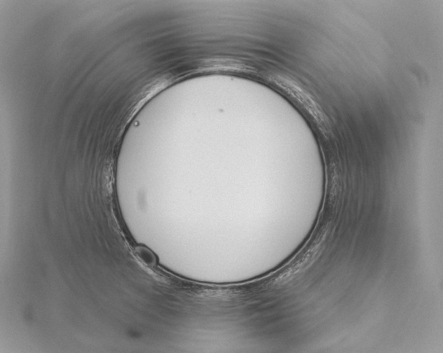 X0000115651377200912081116