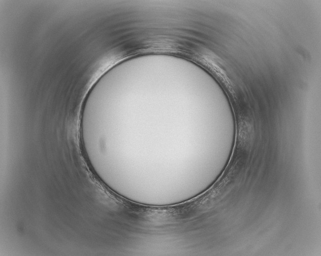 X0000115651378200912081116