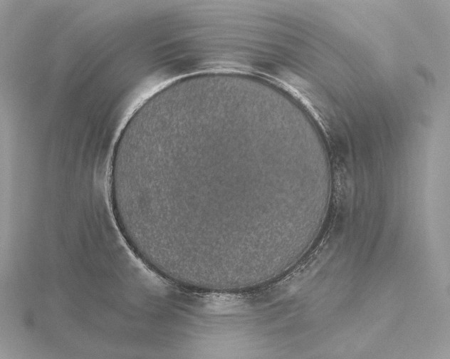 X0000115651379200912081116