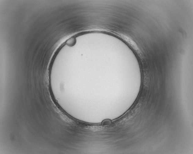 X0000115651380200912081116