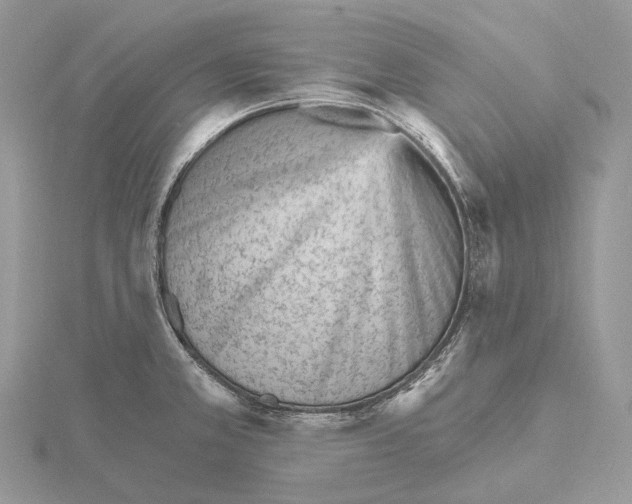 X0000115651381200912081116