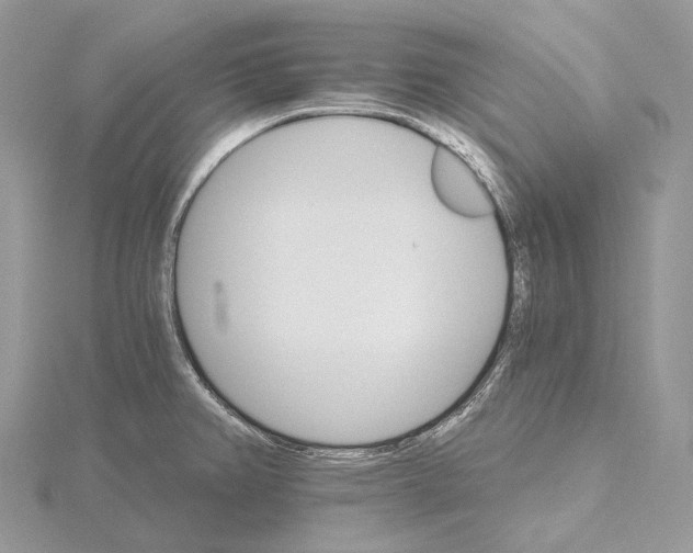 X0000115651382200912081116