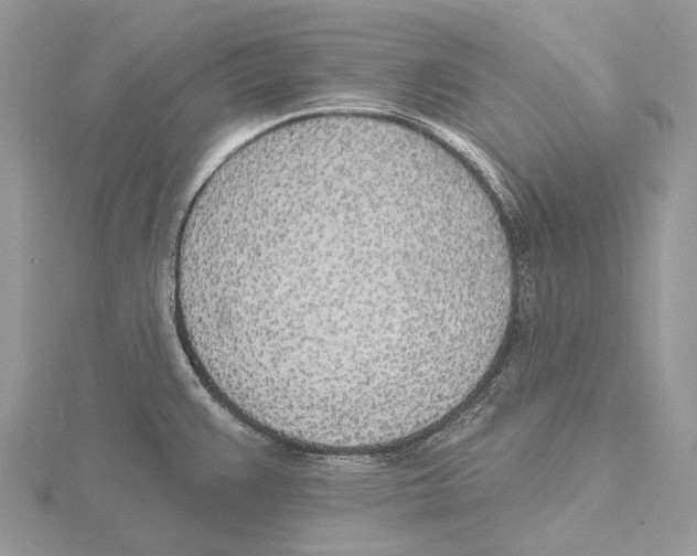 X0000115651383200912081116