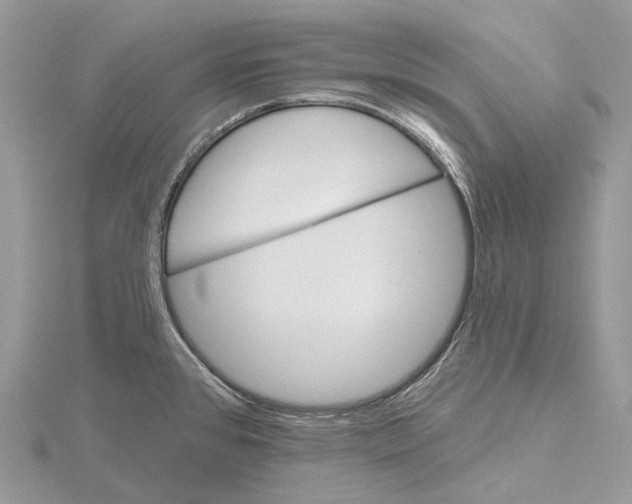 X0000115651384200912081116