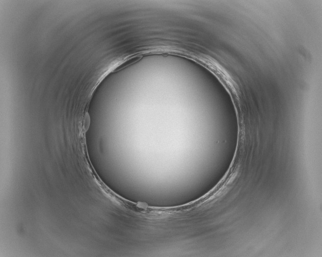 X0000115651385200912081116