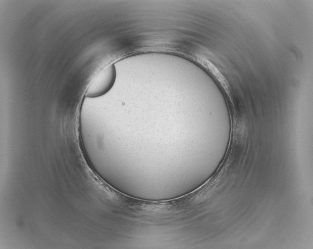 X0000115651386200912081116