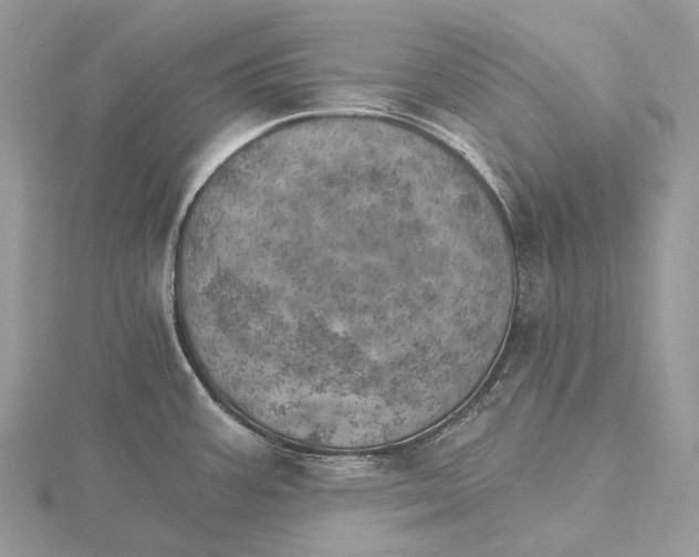 X0000115651387200912081116