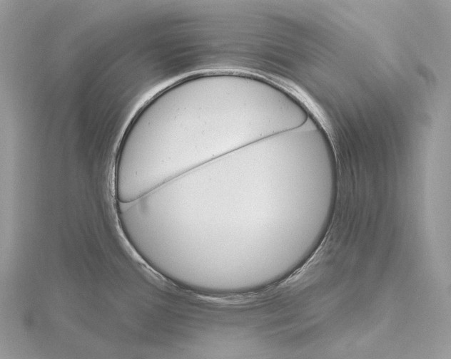 X0000115651388200912081116