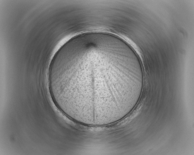 X0000115651389200912081116