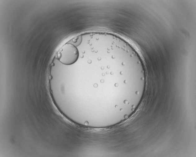 X0000115651390200912081116