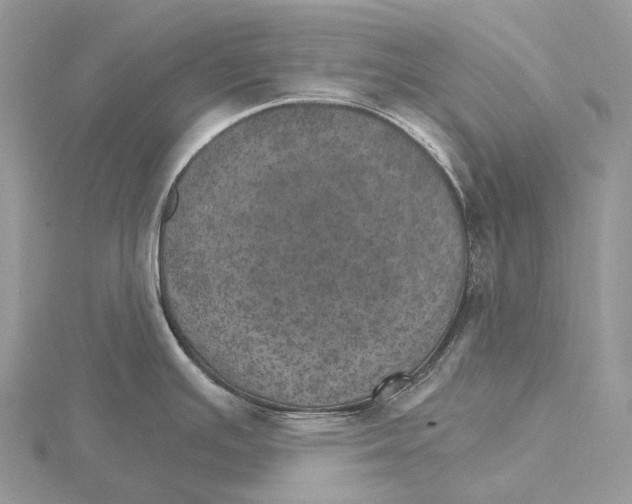 X0000115651391200912081116