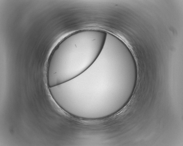 X0000115651392200912081116