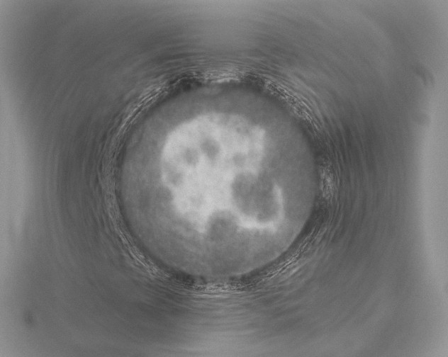 X0000115651393200912081115