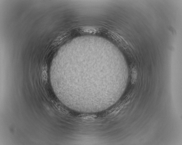 X0000115651394200912081115