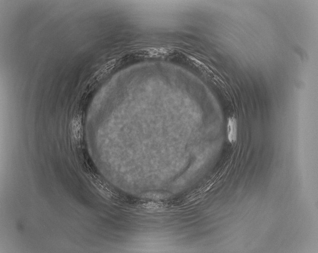 X0000115651395200912081115