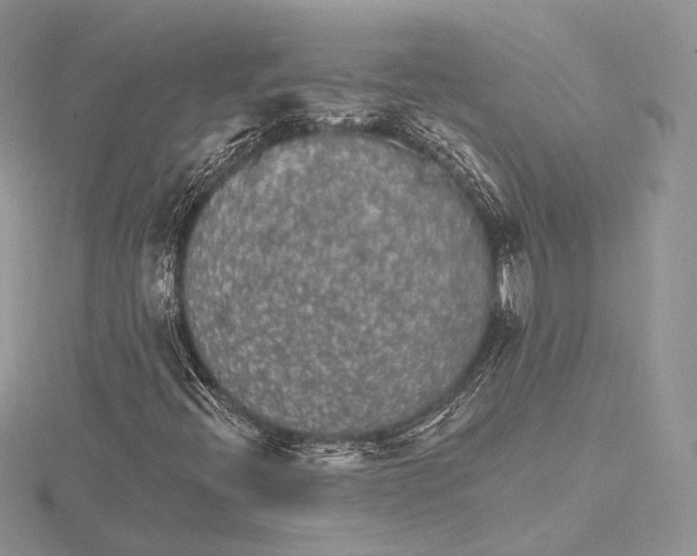 X0000115651396200912081115