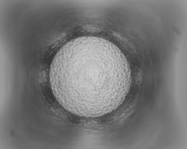 X0000115651397200912081115