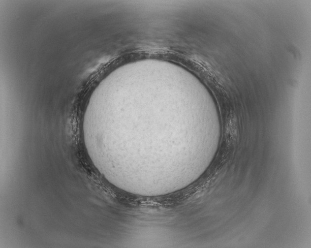 X0000115651398200912081115