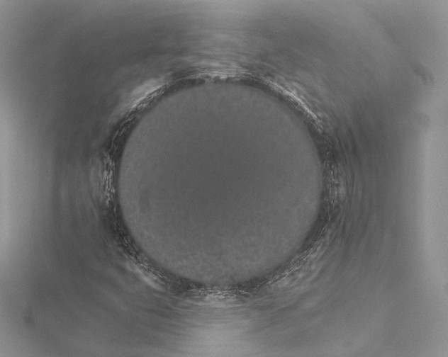 X0000115651399200912081115