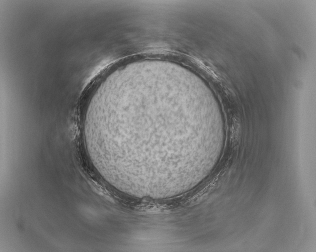 X0000115651400200912081115