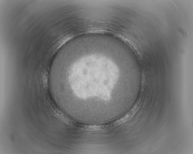 X0000115651401200912081115