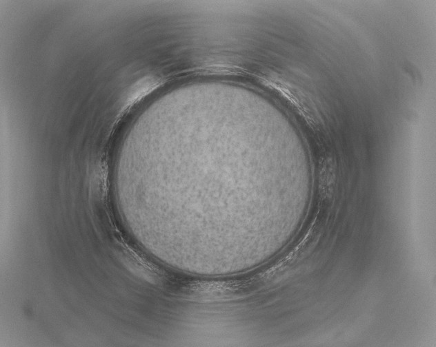 X0000115651402200912081115