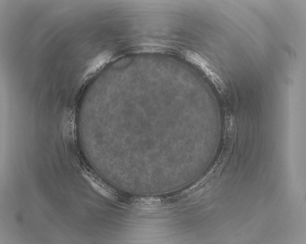 X0000115651403200912081115