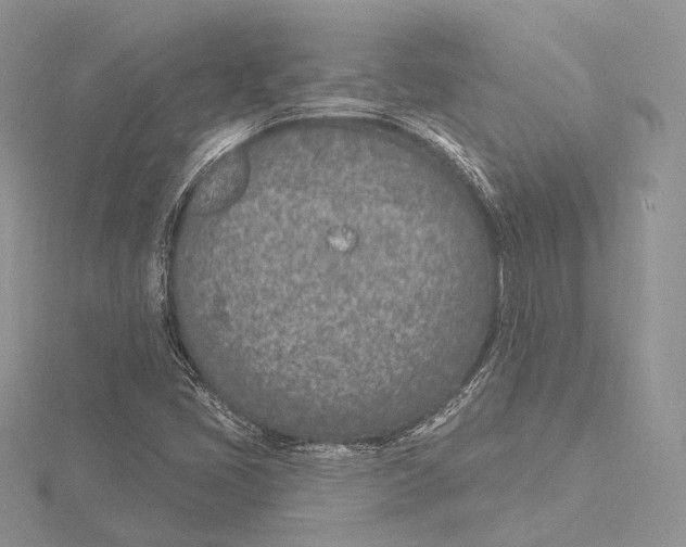 X0000115651405200912081115