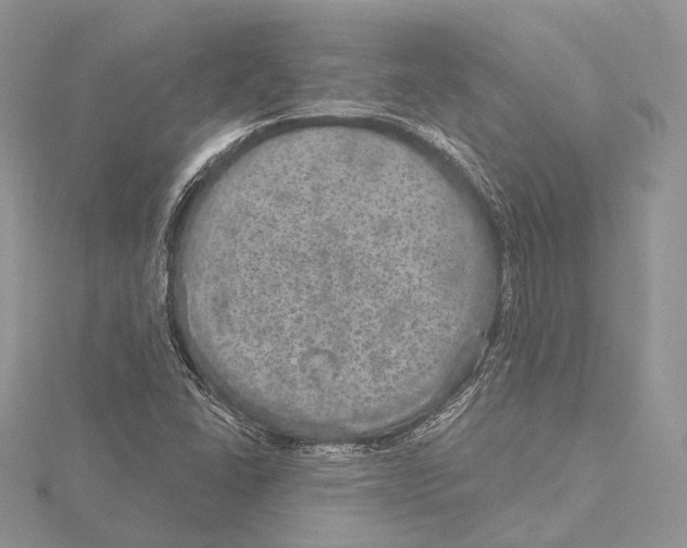 X0000115651406200912081115