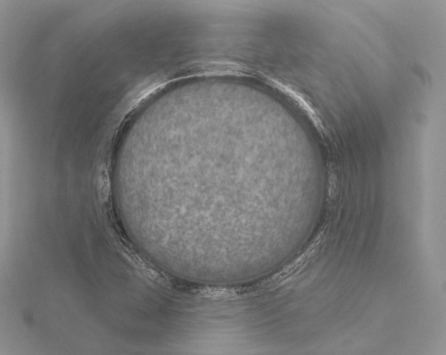 X0000115651407200912081115