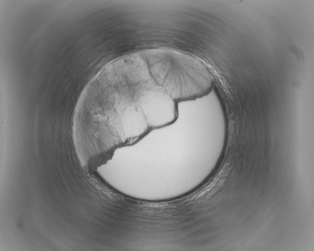 X0000115651409200912081115