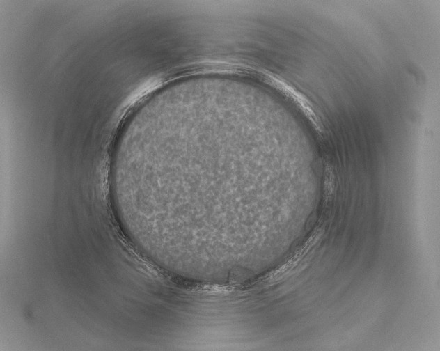 X0000115651411200912081115