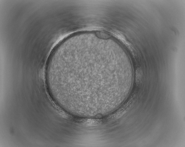 X0000115651412200912081115