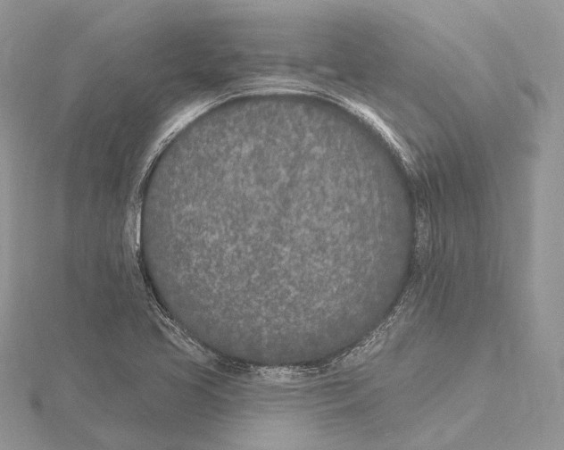 X0000115651413200912081115