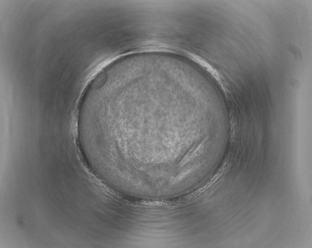 X0000115651415200912081115