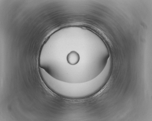 X0000115651417200912081115