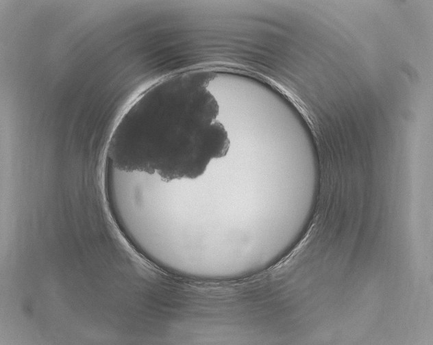 X0000115651418200912081115