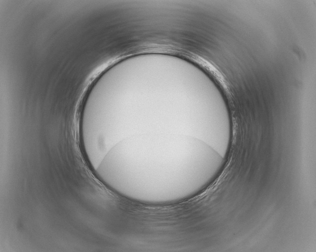 X0000115651419200912081115