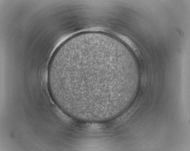 X0000115651420200912081115