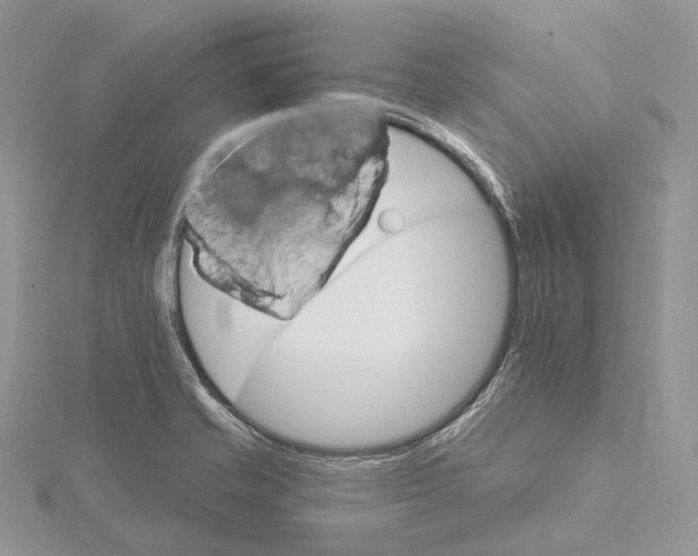 X0000115651421200912081115