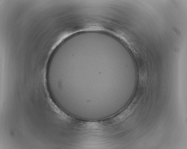 X0000115651422200912081115